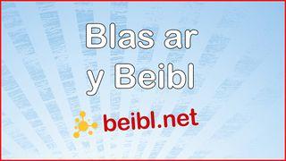 Blas ar y Beibl 2