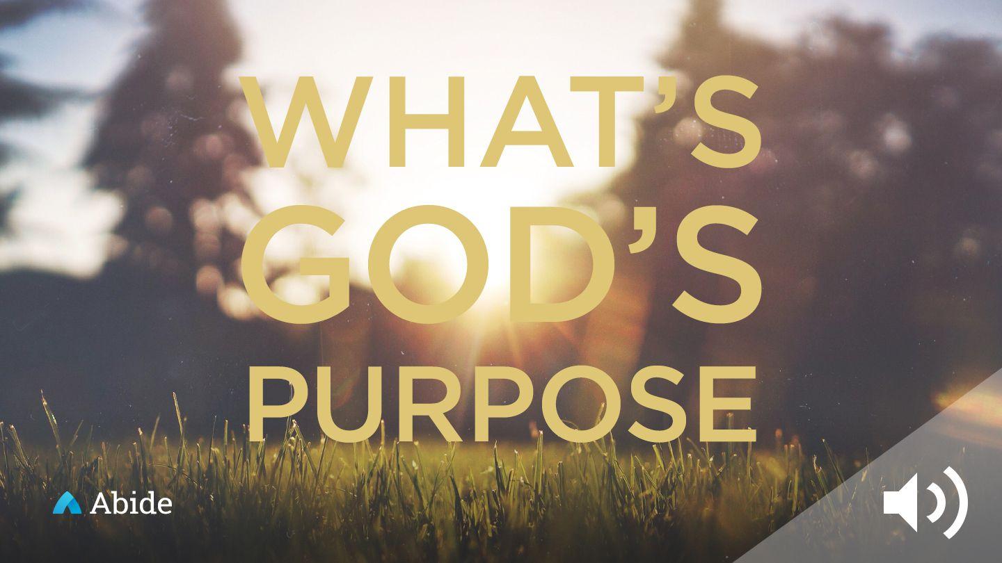 What Is God’s Purpose For My Life? Mpiin 12:1 Uwumbɔr aagbaŋ