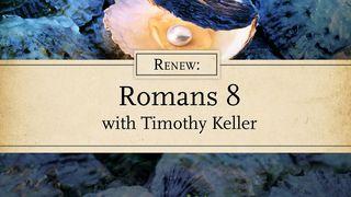 Renew: Romans 8 With Timothy Keller