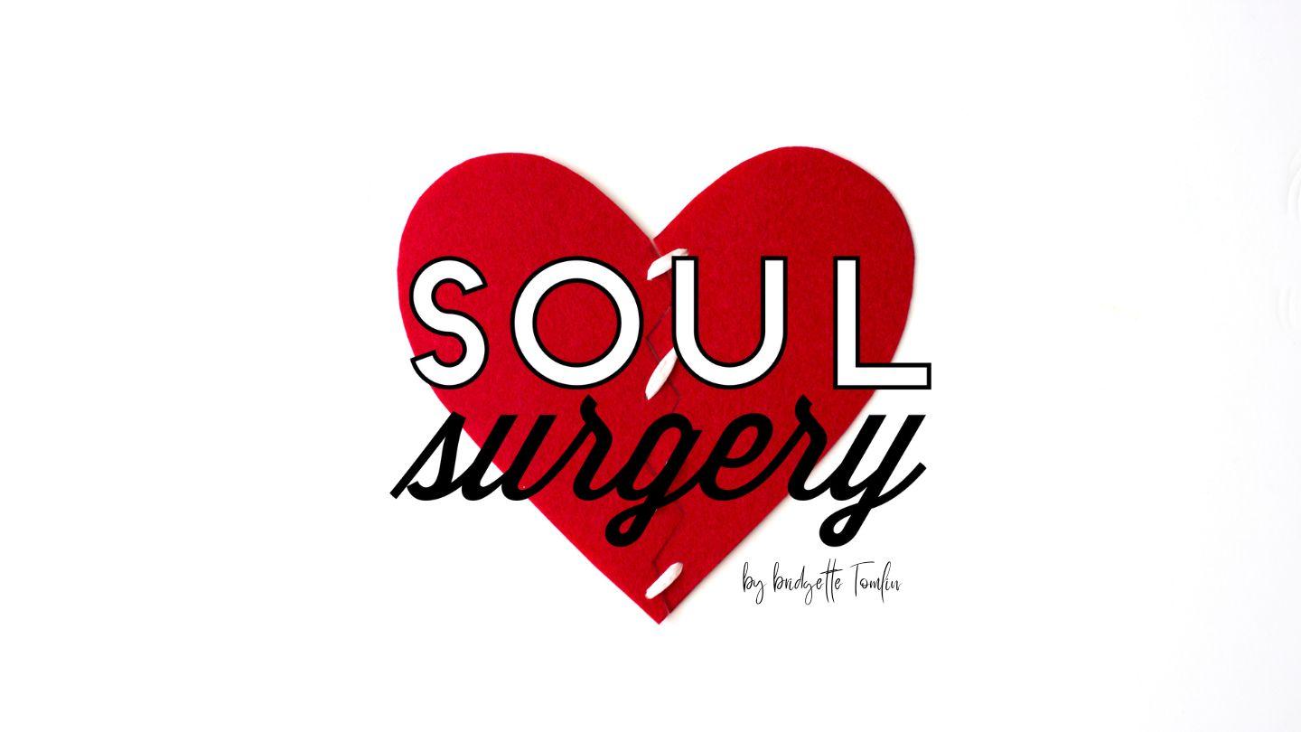 Soul Surgery Galatians 6:8-10 New International Version